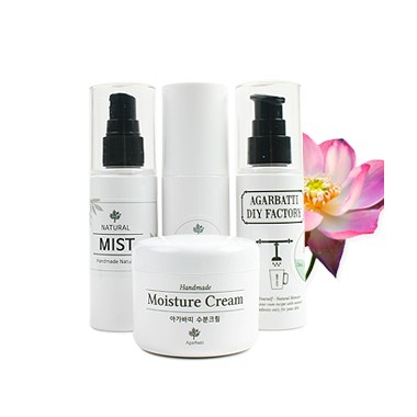 로터스 클린업 레시피